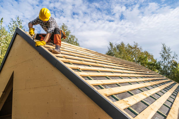 Best Metal Roofing Contractor  in Canton, MO